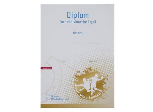 TEKNIKKMERKE GULL, DIPLOM (20)