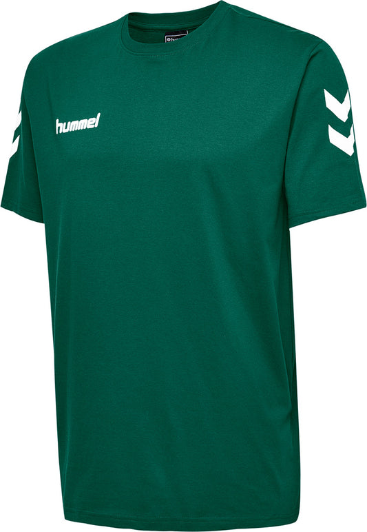 6140-EVERGREEN