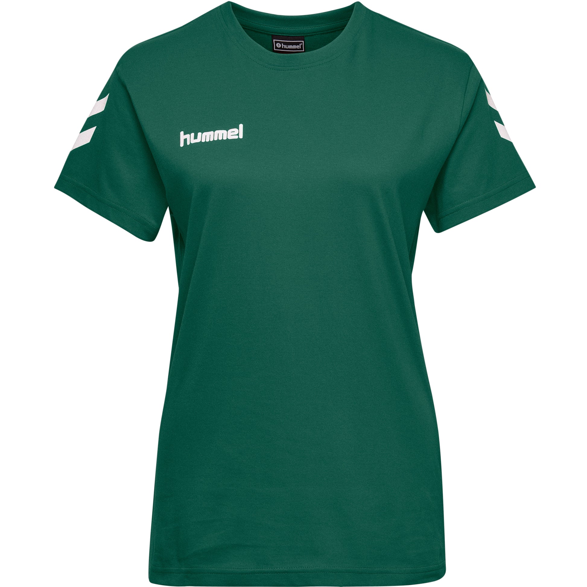 6140-EVERGREEN