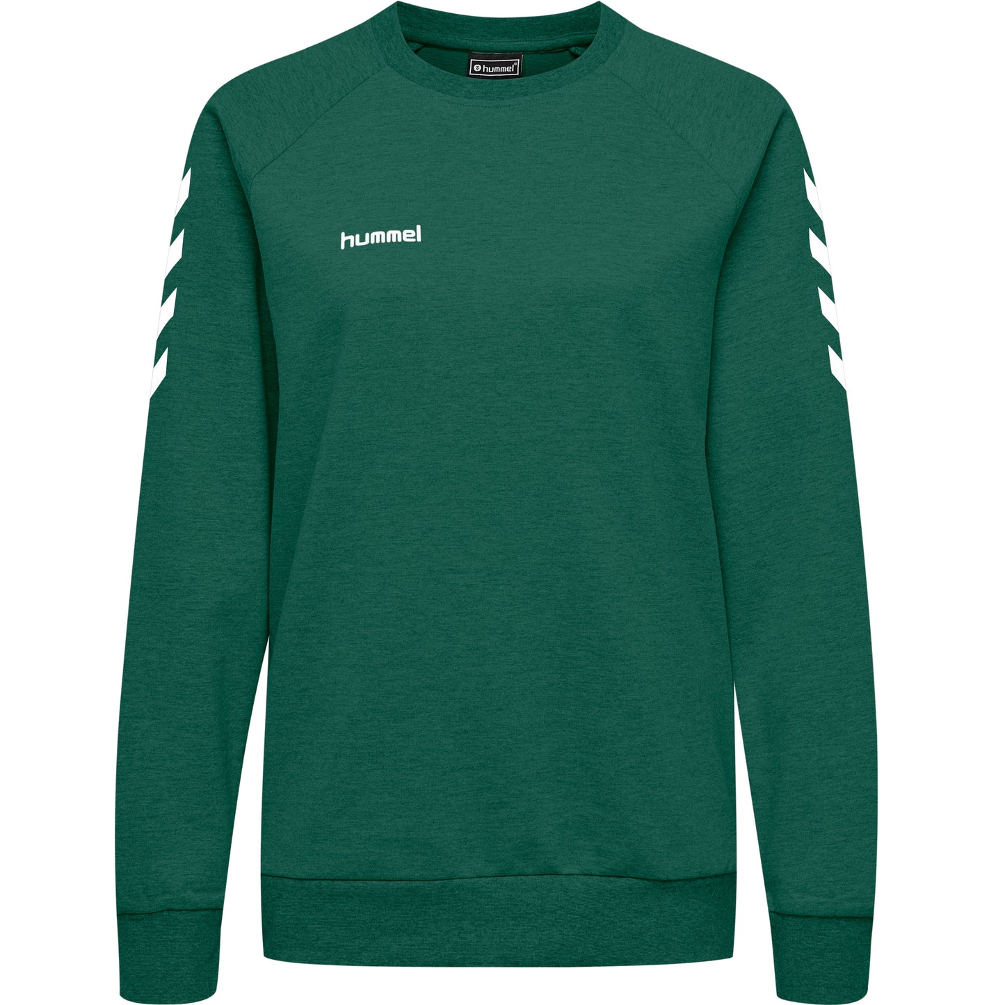 6140-EVERGREEN