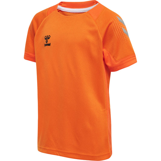 5190-ORANGE TIGER