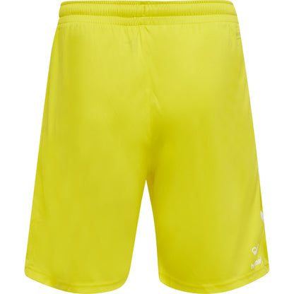 5269-BLAZING YELLOW