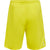 5269-BLAZING YELLOW