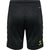 2096-BLACK/LIME POPSICLE