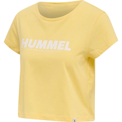 5081-GOLDEN HAZE