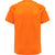 5190-ORANGE TIGER