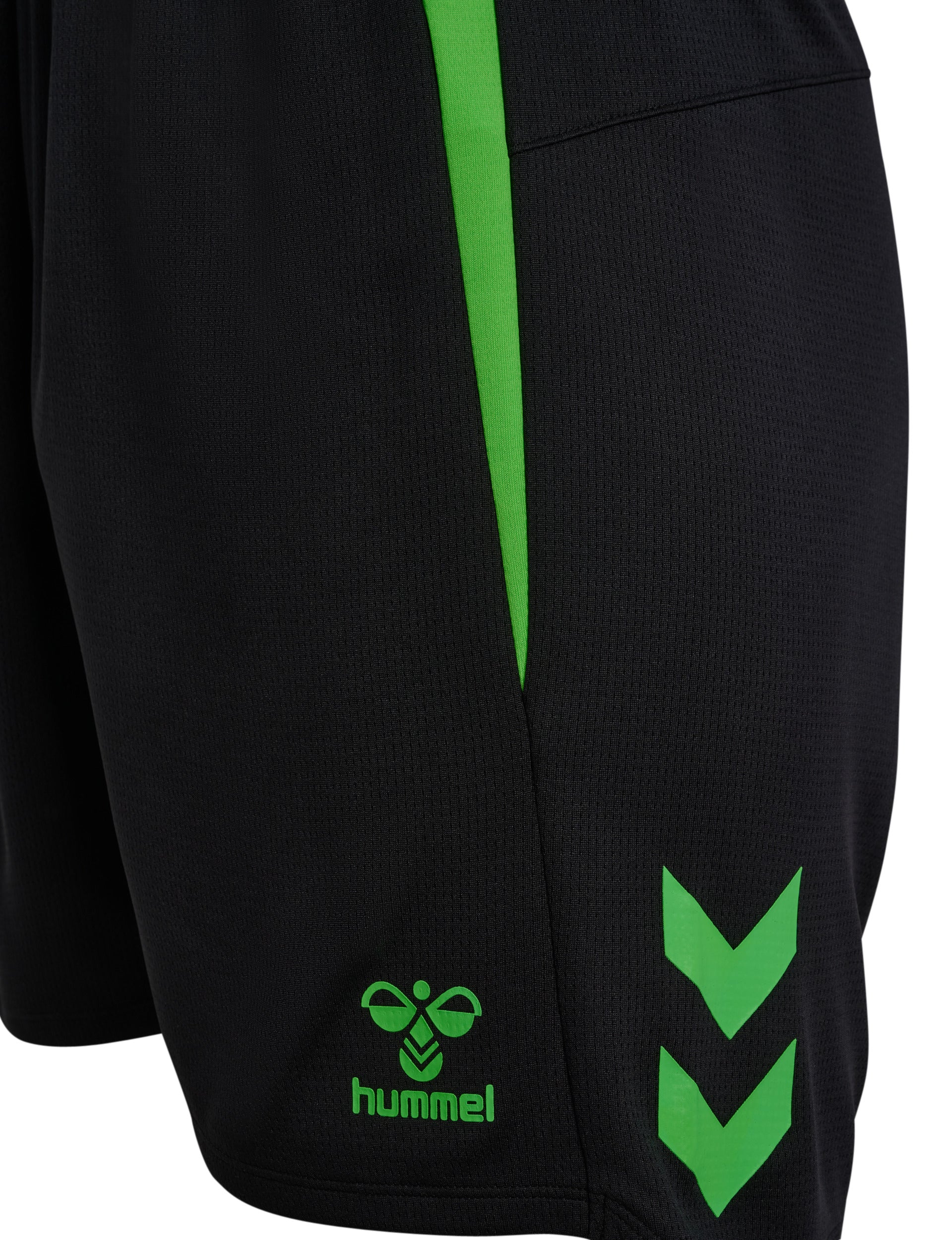 1015-BLACK/GREEN GECKO