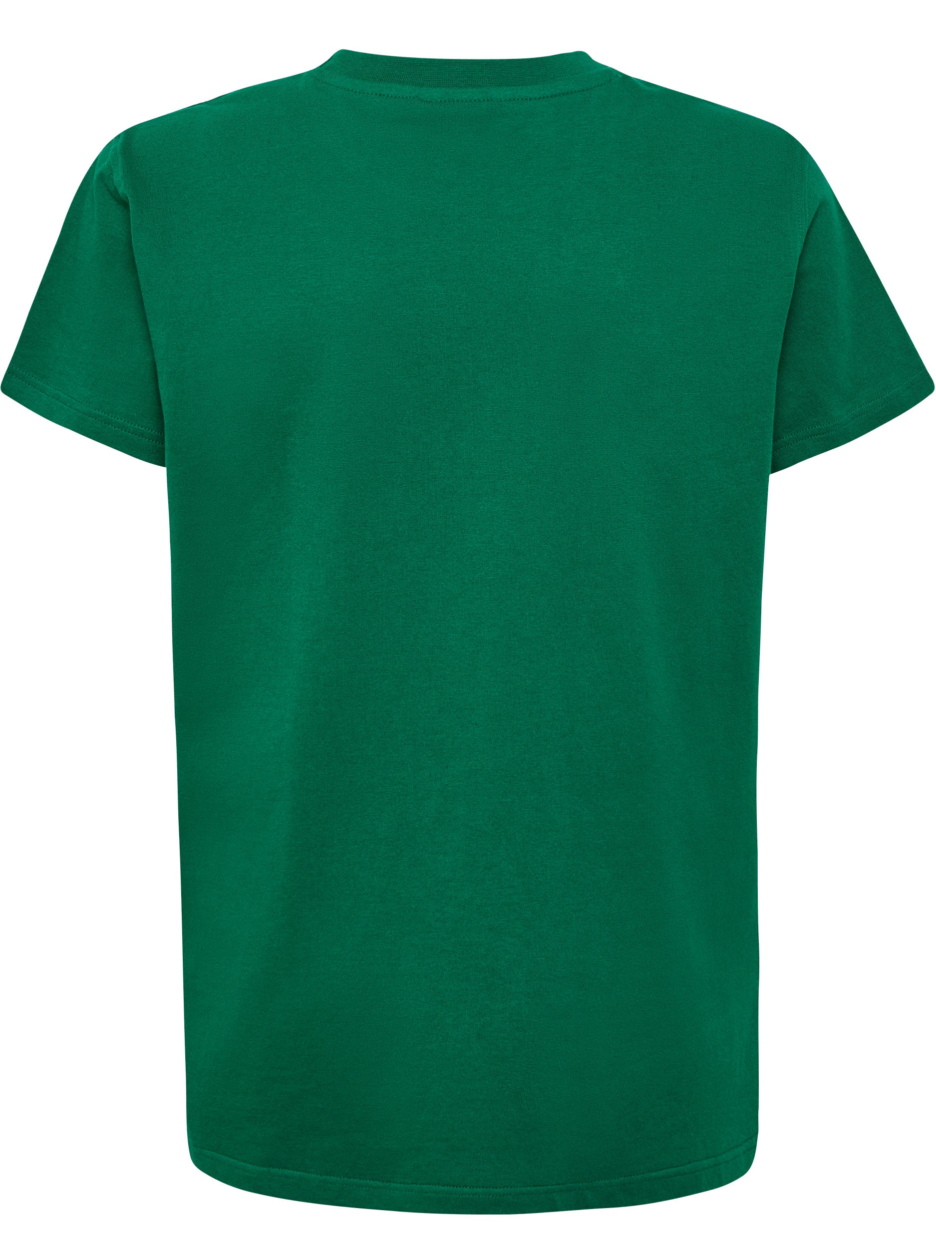 6140-EVERGREEN