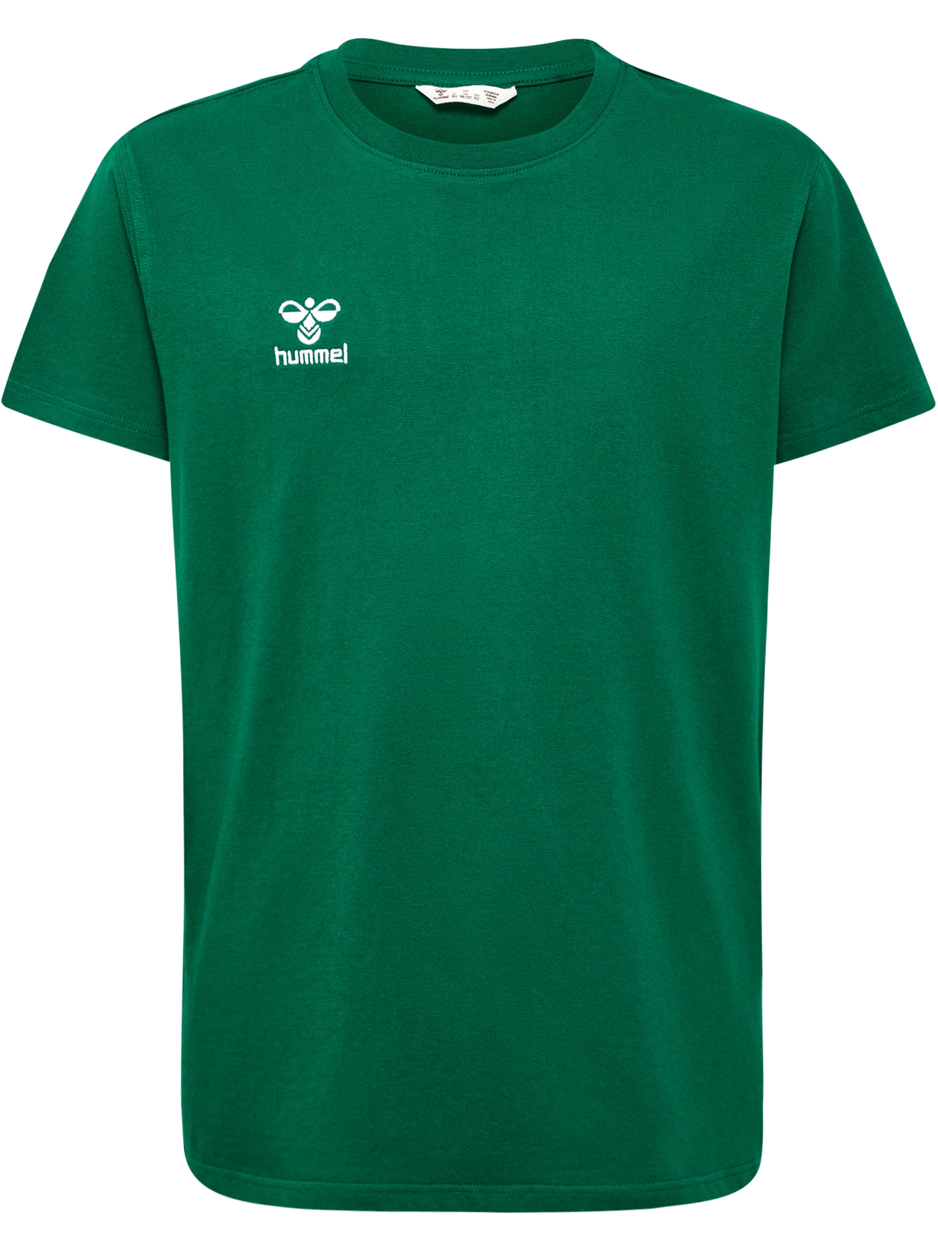 6140-EVERGREEN