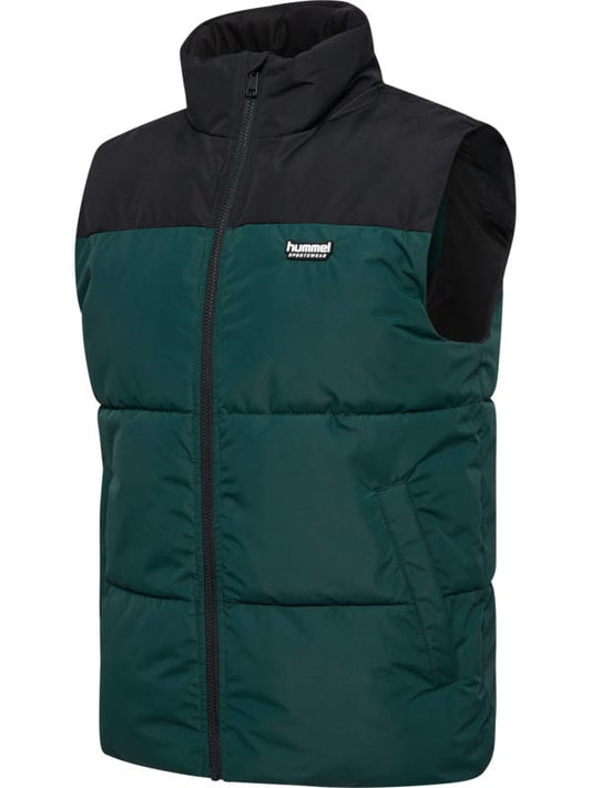 6565-PONDEROSA PINE
