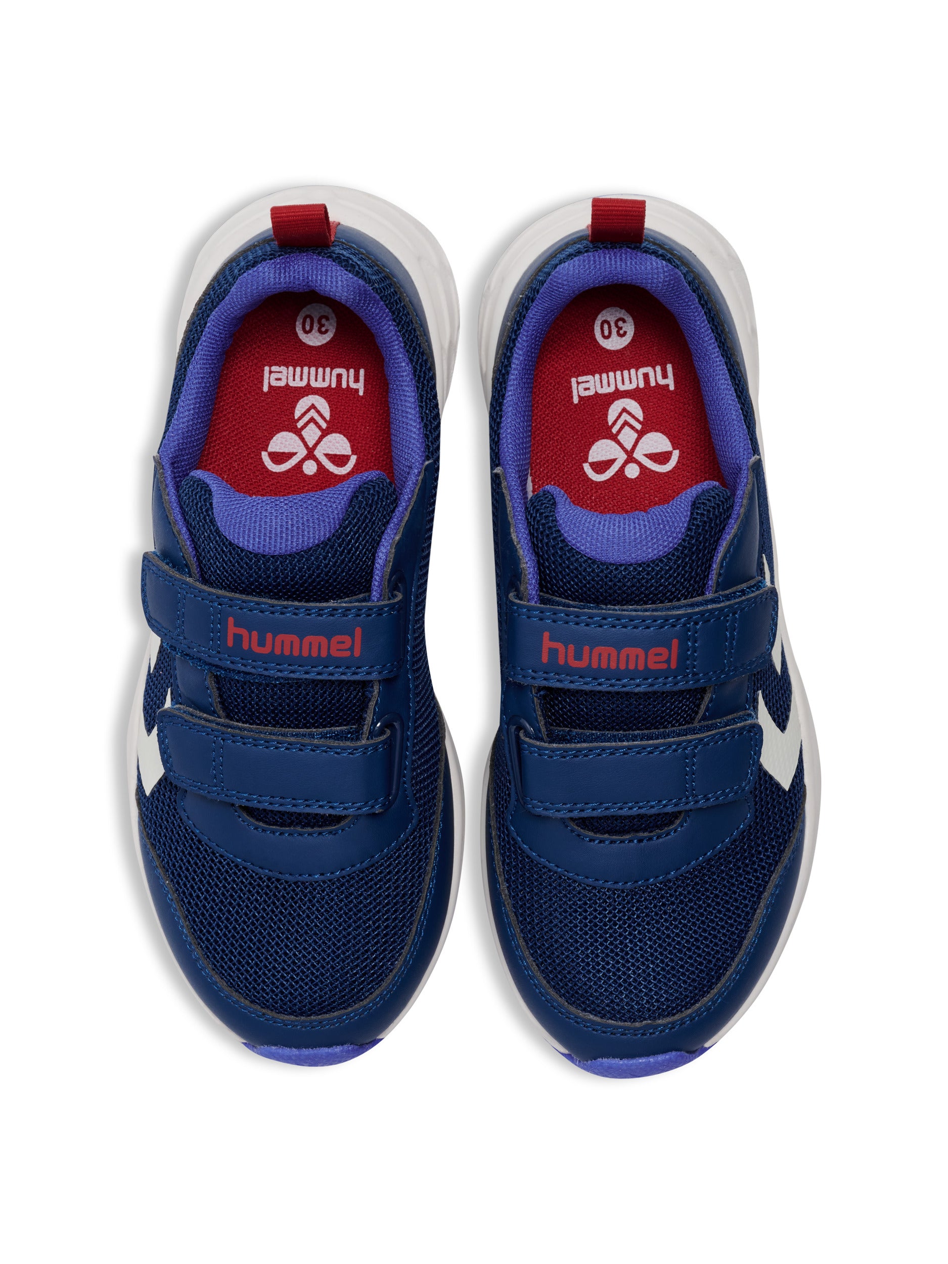 7017-NAVY PEONY