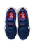 7017-NAVY PEONY