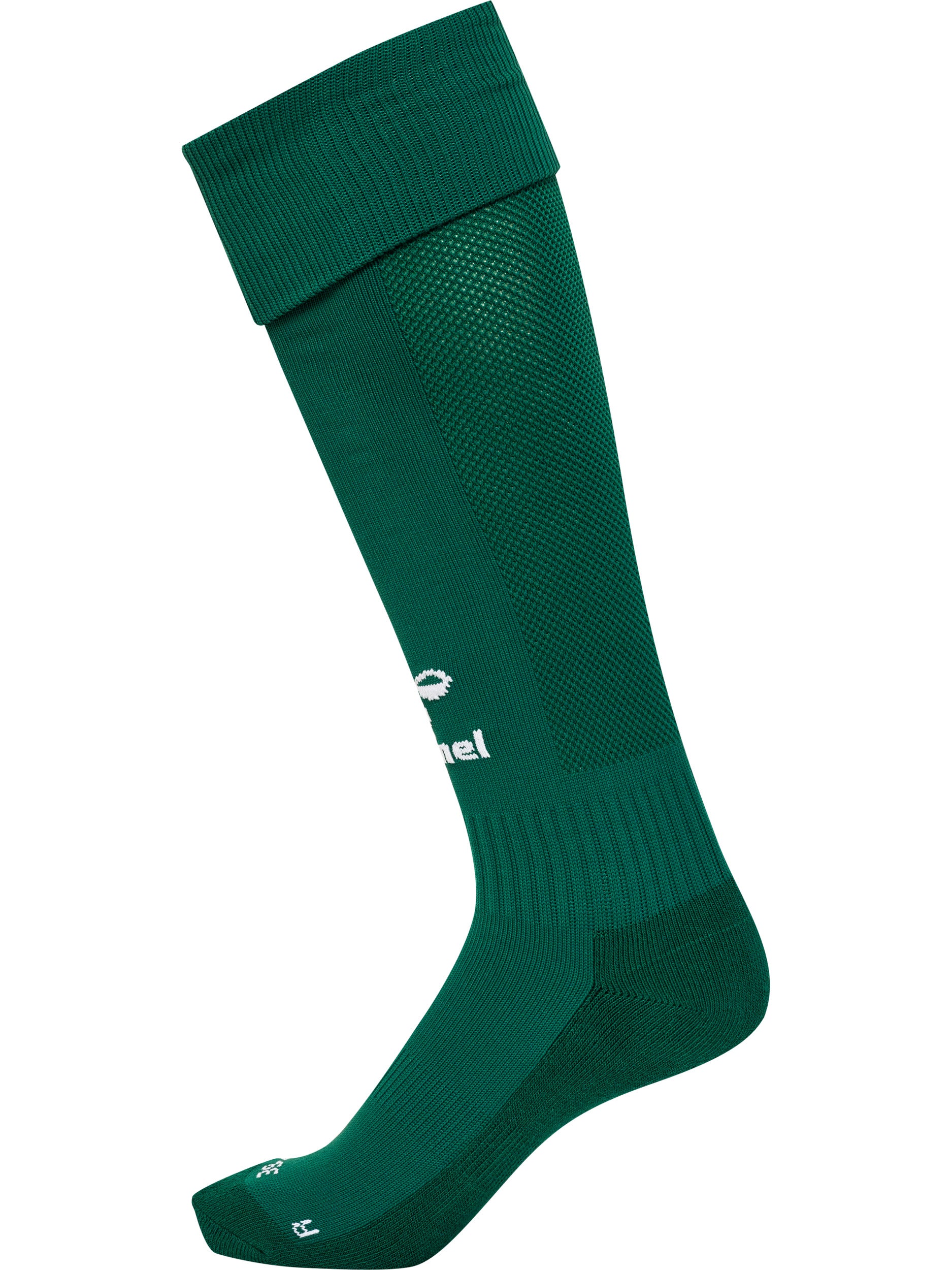 6131-EVERGREEN/WHITE