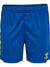 8606-TRUE BLUE/BLAZING YELLOW