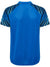 8650-SKYDIVER