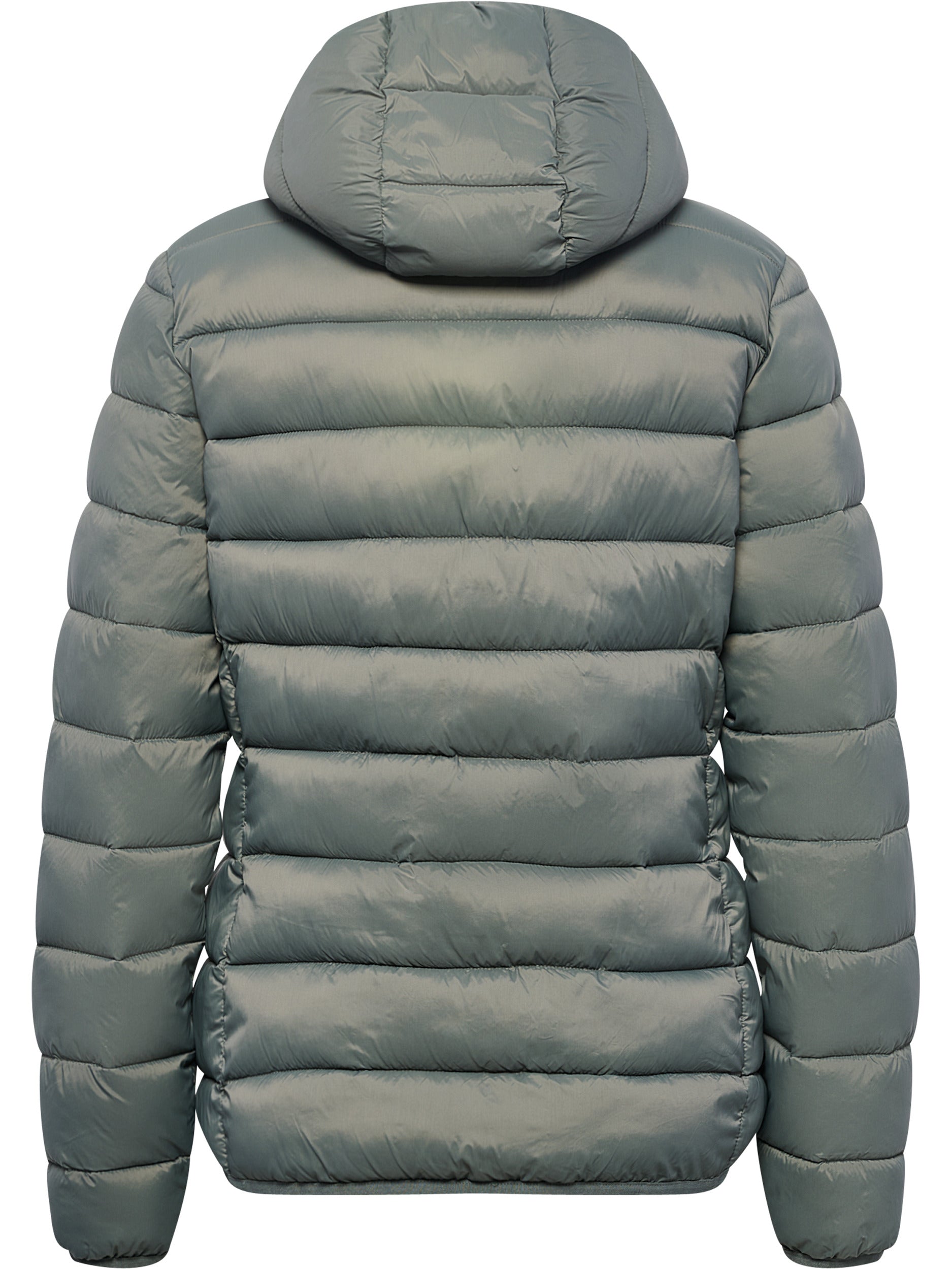 6307-CASTOR GRAY