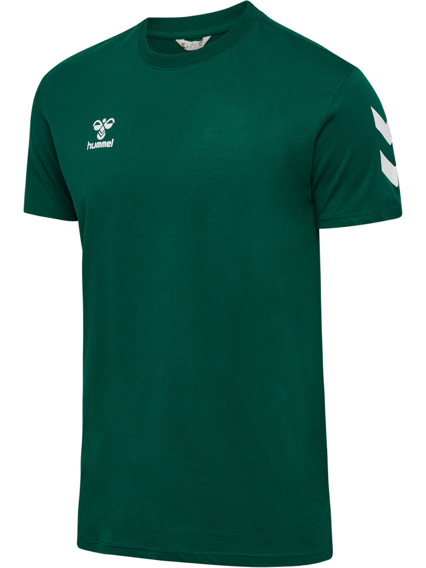 6140-EVERGREEN
