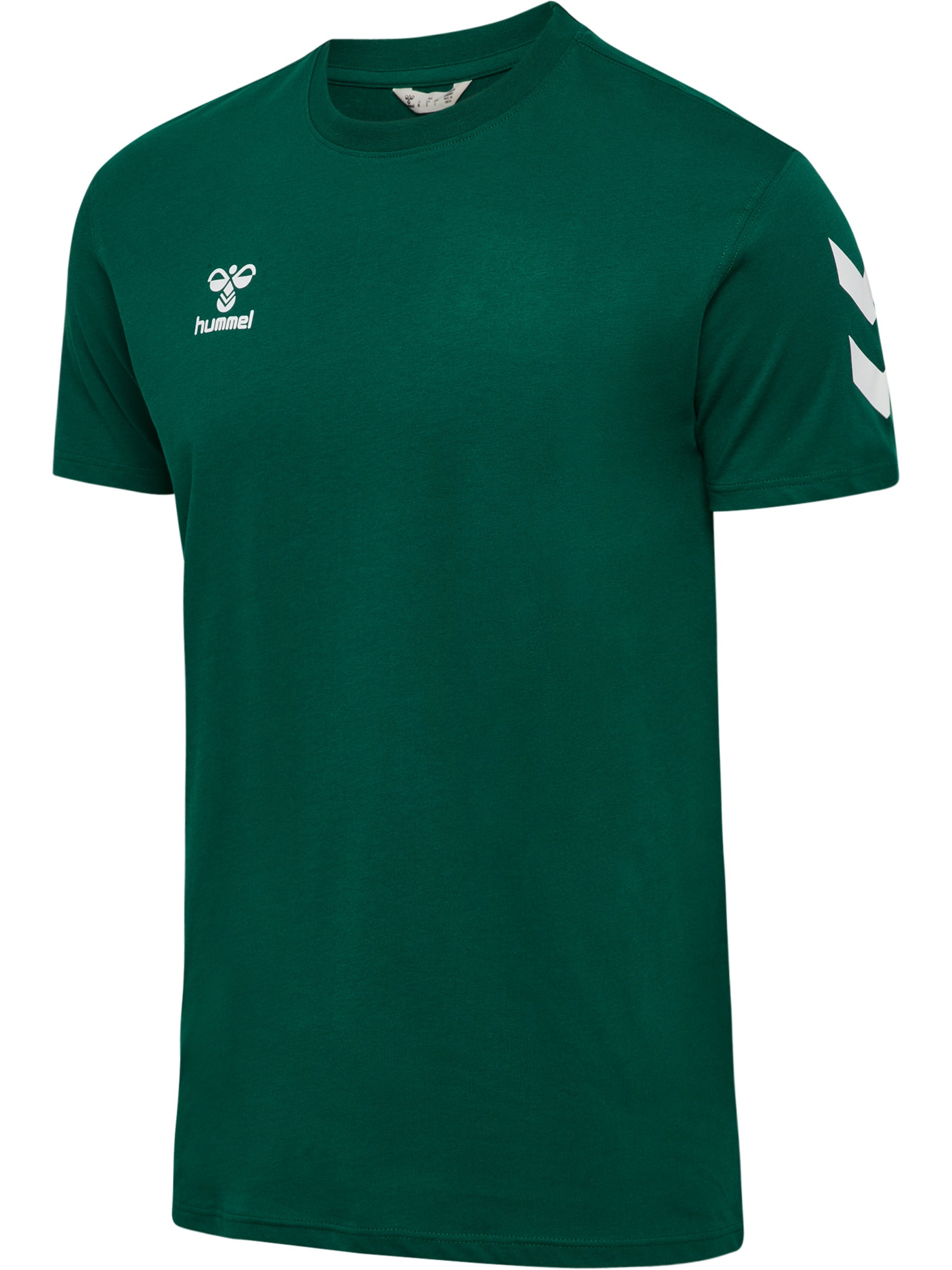 6140-EVERGREEN