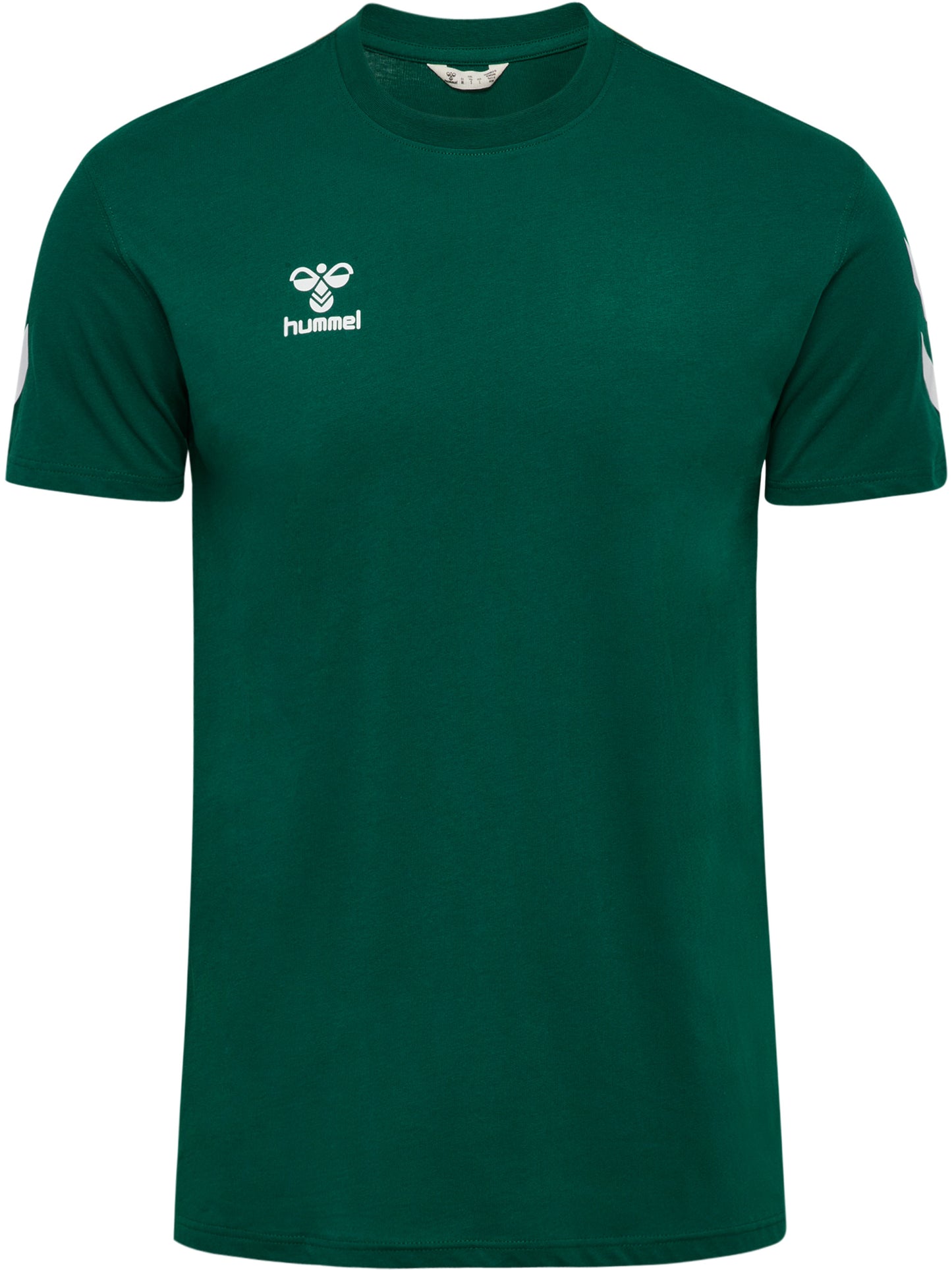 6140-EVERGREEN