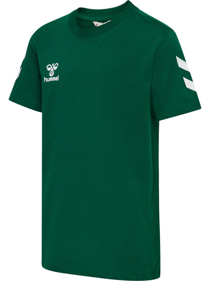 6140-EVERGREEN