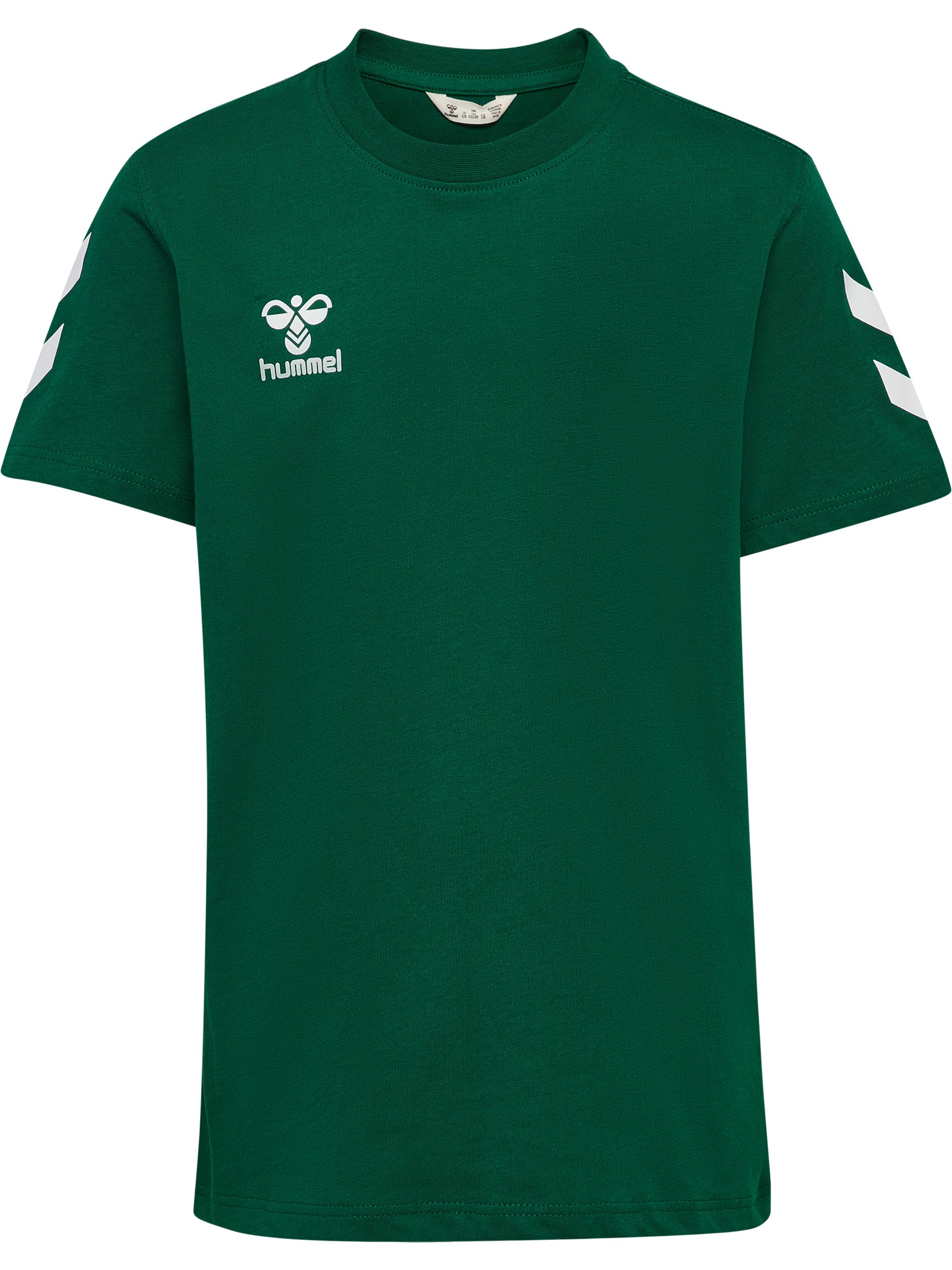 6140-EVERGREEN