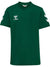 6140-EVERGREEN