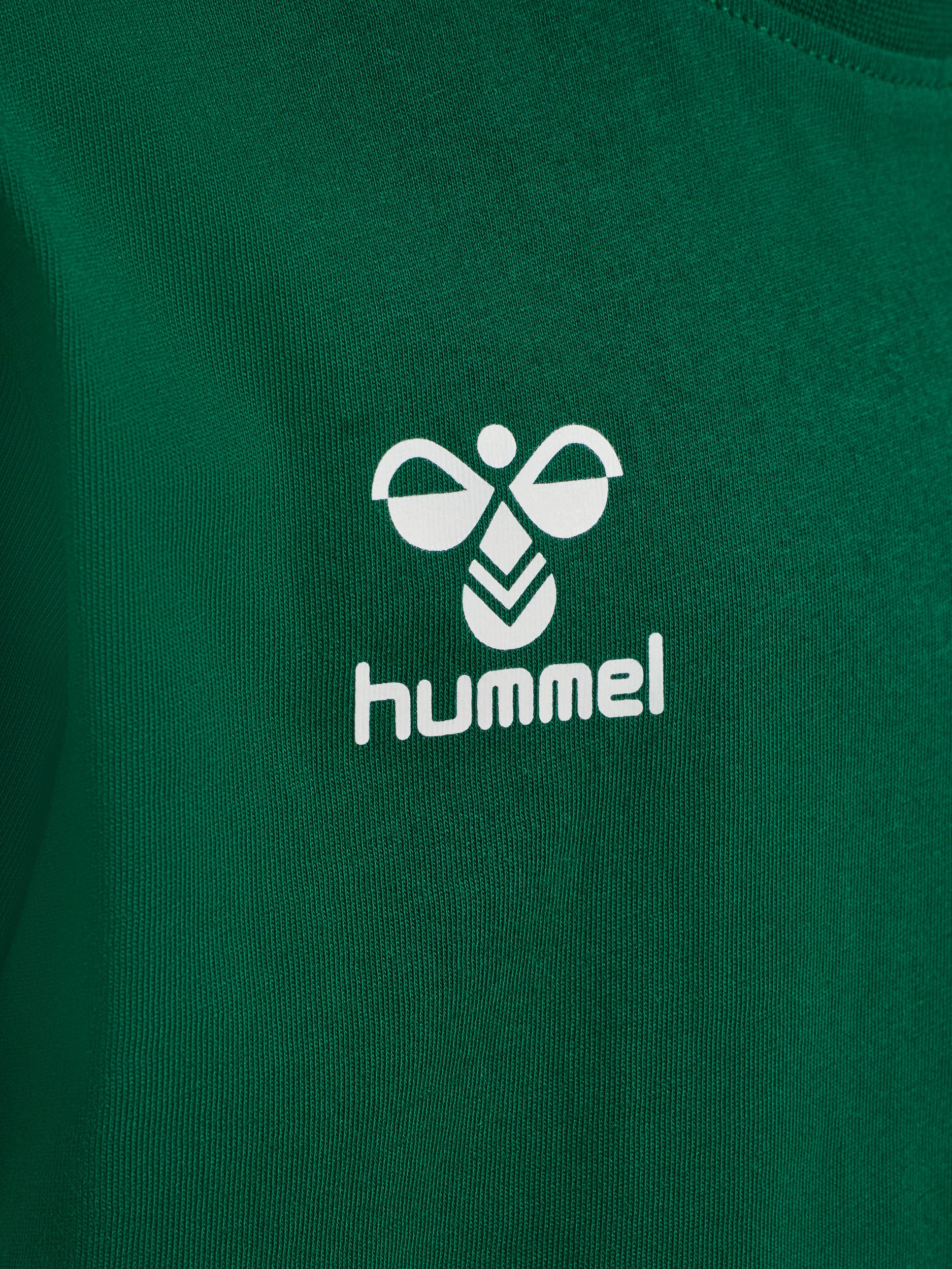 6140-EVERGREEN