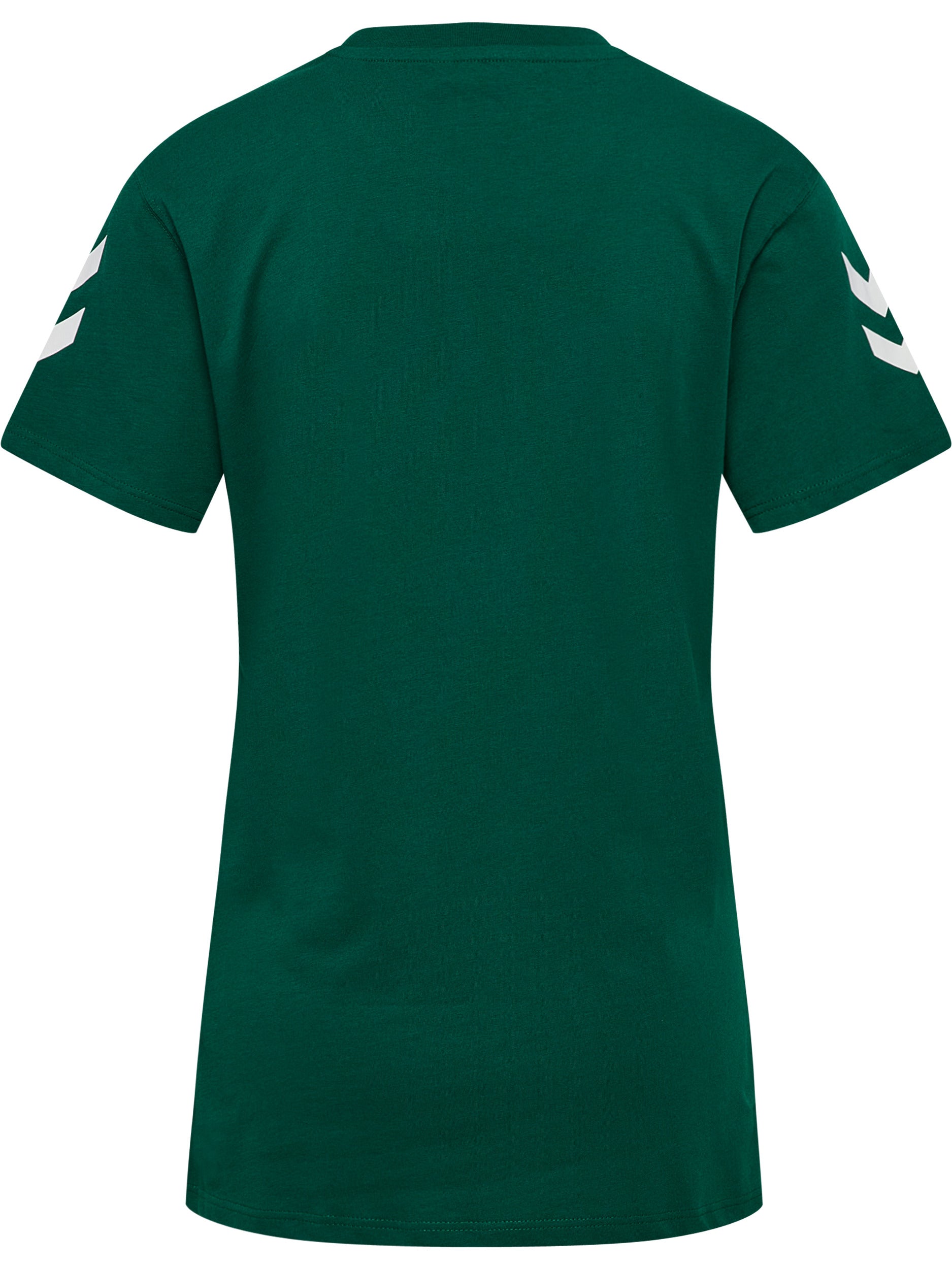 6140-EVERGREEN