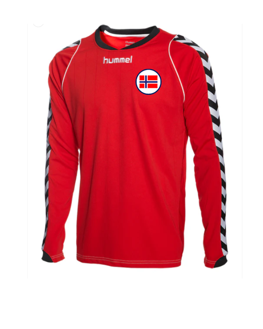 NORGE VM 26 - BEE AUTH. LS JERSEY KIDS