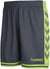 1616-DARK SLATE/GREEN FLASH