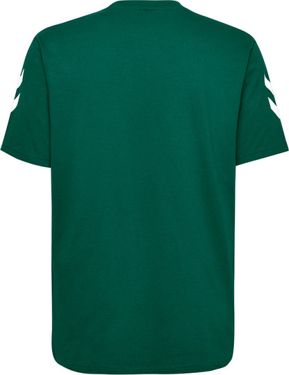 6140-EVERGREEN