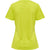 6102-EVENING PRIMROSE