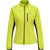6102-EVENING PRIMROSE