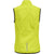 6102-EVENING PRIMROSE