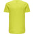 6102-EVENING PRIMROSE
