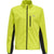 6102-EVENING PRIMROSE