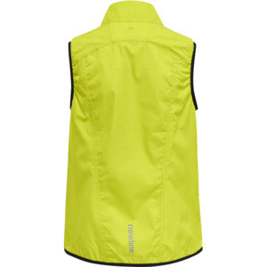 6102-EVENING PRIMROSE