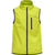 6102-EVENING PRIMROSE