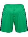 hmlAUTHENTIC PL SHORTS