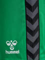hmlAUTHENTIC PL SHORTS