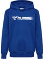 hmlGO 2.0 LOGO HOODIE KIDS