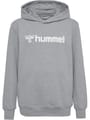 hmlGO 2.0 LOGO HOODIE KIDS