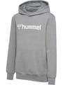 hmlGO 2.0 LOGO HOODIE KIDS