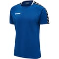hmlAUTHENTIC TRAINING TEE