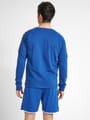 hmlAUTHENTIC TRAINING SWEAT