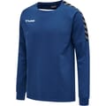 hmlAUTHENTIC TRAINING SWEAT