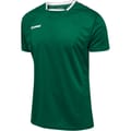 hmlAUTHENTIC POLY JERSEY S/S