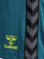 hmlAUTHENTIC PL SHORTS WOMAN