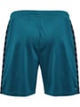 hmlAUTHENTIC PL SHORTS
