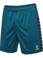 hmlAUTHENTIC PL SHORTS